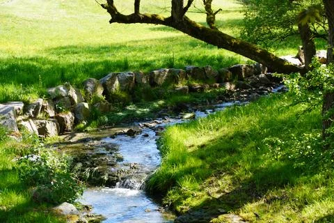 Small Stream Flowing Through Green Meadow in Spring Landscape Foto stock