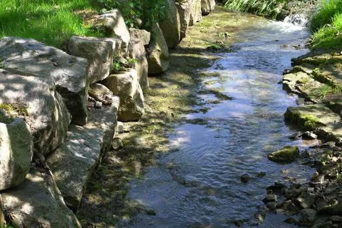 Small Stream Flowing Through Green Meadow in Spring Landscape Stock Photos