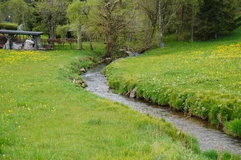 Small Stream Flowing Through Green Meadow in Spring Landscape Stockfoto's