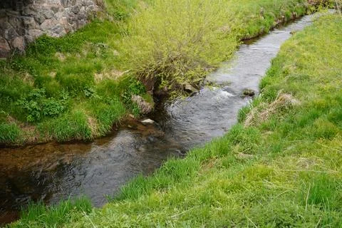 Small Stream Flowing Through Green Meadow in Spring Landscape Foto stock