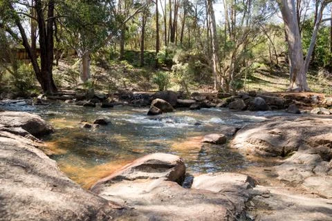 A small stream flowing through John Forrest National park Stock Photos