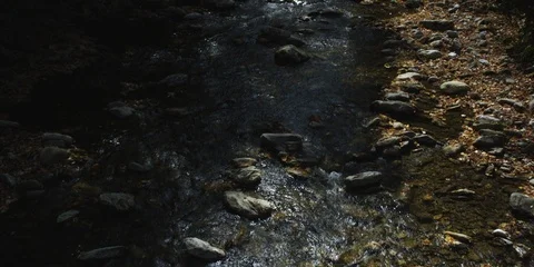 Small stream flowing through rocks in forest Stock Footage 103772240