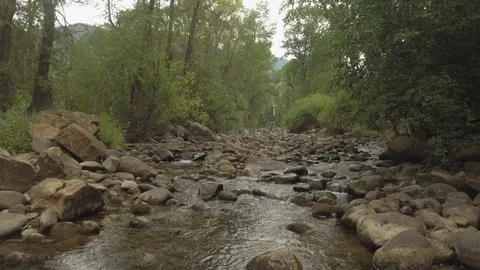 Small stream flowing through rocks in forest Stock Footage 104817309