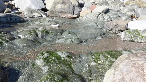 Small stream flowing through rocky landscape with slow upward camera movement Stock Footage 335091653