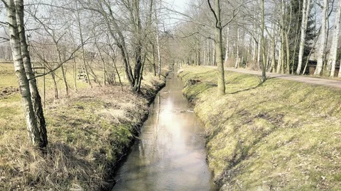 Small stream flowing through tree colonnade. Brook in natural parkland alley 库存影片 89663351