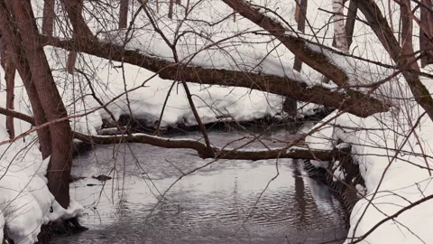 Small stream flowing through winter forest under fallen snow covered trees 스톡 동영상 331006678