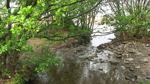 Small stream flowing toward the loch through the forest Video stock 39987762