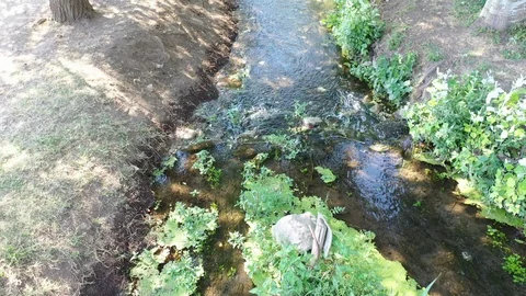 Small stream with flowing water Stock Footage 116656210