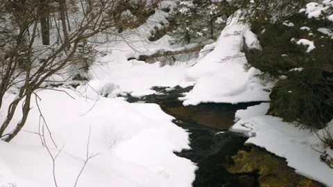 Small stream flowing in winter full of snow around Stock Footage 218983157