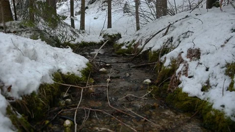 Small stream flowing in winter season Stock Footage 171623662