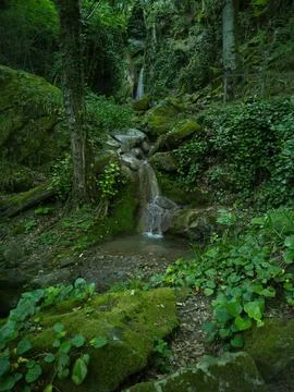 A small stream flows down Stock Photos