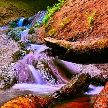 Small stream flows down a slope in a wooded area during daylight hours Stock Photos