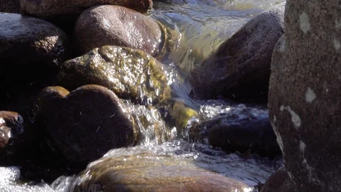 A small stream flows down the stones Stock-Footage 116558017