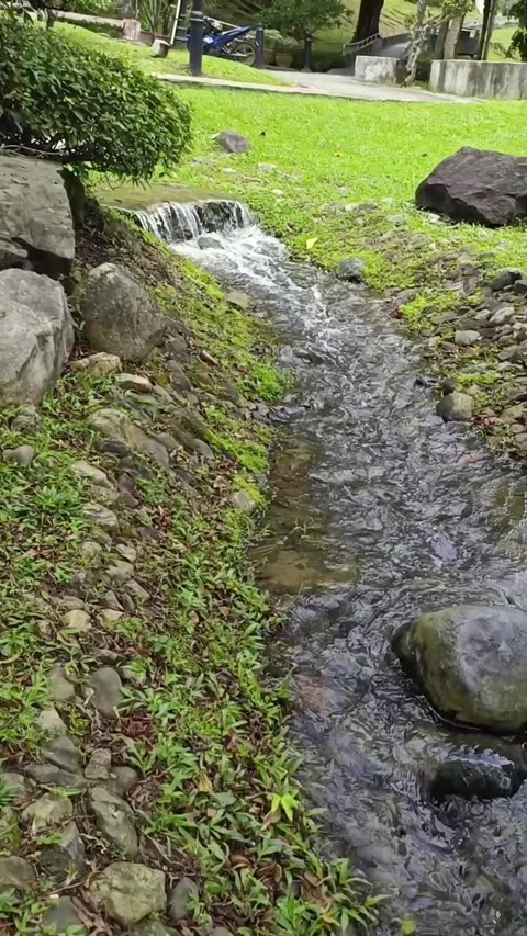 A small stream flows gently through a landscaped garden, surrounded by rocks and Stock Footage 323149172