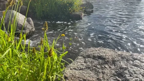 A small stream flows into a lake Stock Footage 172108517