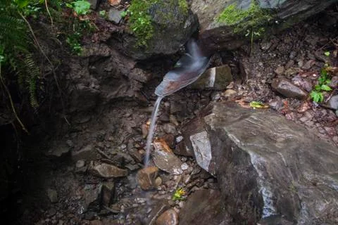A small stream flows from a mountain spring. Stock Photos