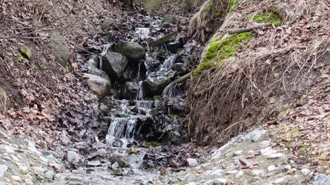 Small stream flows over the stones. There are many yellow fallen leaves around Stock Footage 273735112