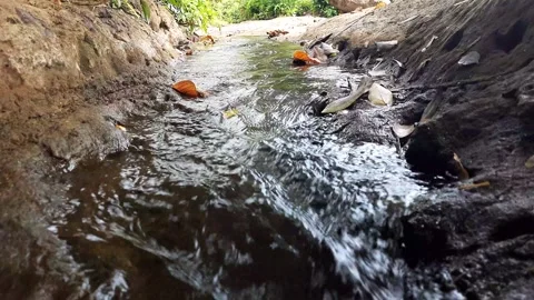 Small stream flows quickly between dark earth banks in nature Video stock 327193208