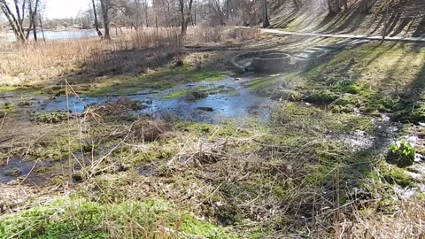 A small stream flows into a river, surrounded by forest trees and plants. Stock Footage 309000721