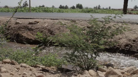 A small stream flows by a rural road Egypt Stock-Footage 90928212