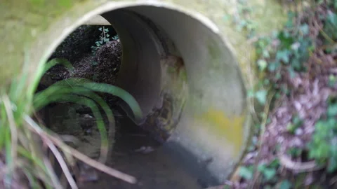 Small stream flows through concrete pipe with focus pull (f0.95) Video stock 235184322