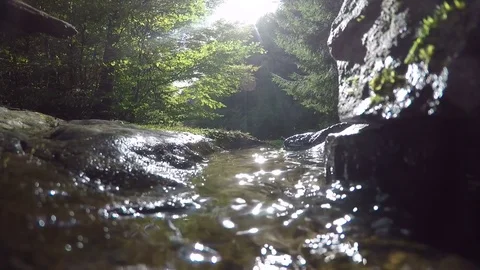 Small stream flows through forest in stone bed Stock Footage 71650866