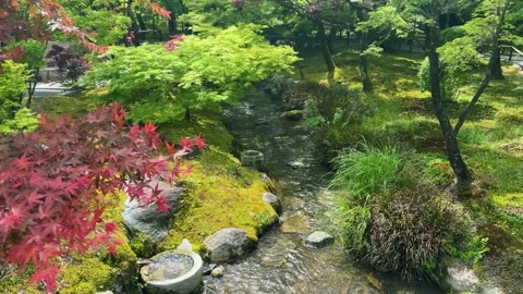 A small stream flows through a lush green traditional zen garden. Stock Footage 334601614