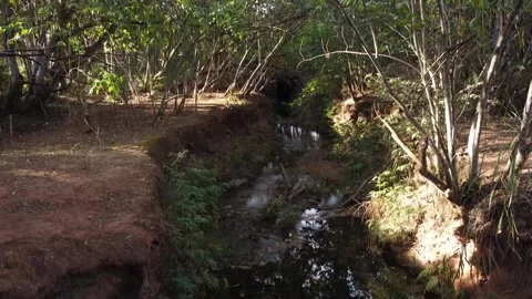 Small stream that flows through Olhos d Agua Park Stock Footage 201499799