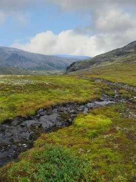 A small stream flows through valley in Khibiny mountains. North of Russia Stock Photos