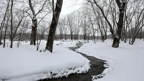 Small stream flows through wooded area. Stock Footage 170630267