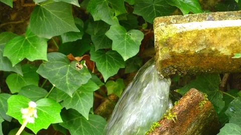 Small stream flows through wooden pipe Stock Footage 90984596
