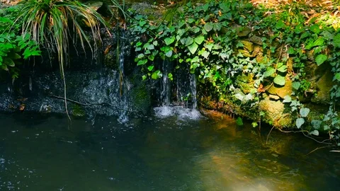 A small stream flows in a tropical forest in the green river Stockbeeldmateriaal 69968888
