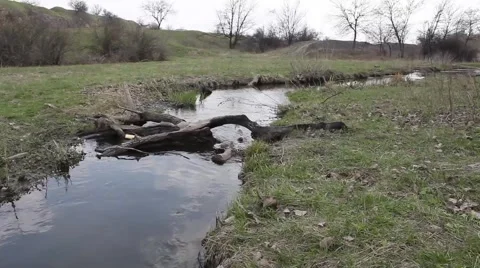 Small stream Video stock 3886642