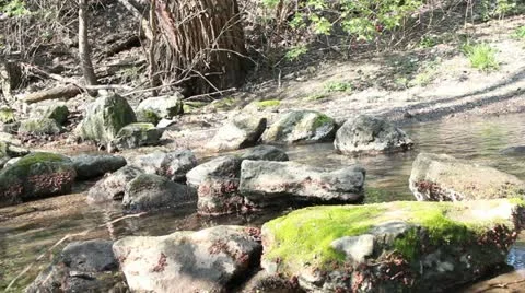 Small stream 動画素材 10842601