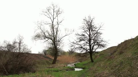 Small stream Stock Footage 10891808