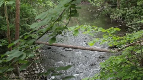 Small stream 動画素材 11116330