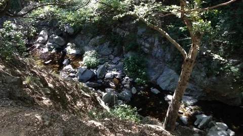 Small Stream Stock Footage 76096137