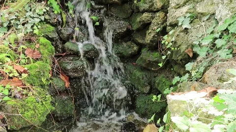 Small Stream Stock Footage 83268316