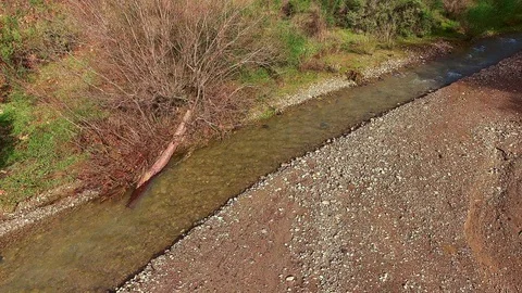 Small Stream 库存影片 95497714