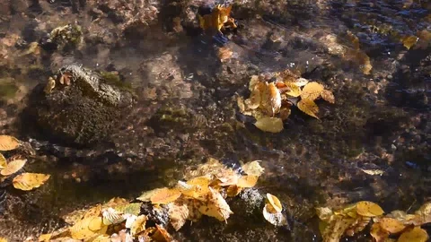 Small stream Stock Footage 98094956