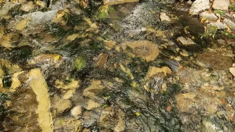Small stream Stock Footage