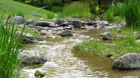 A Small Stream Vídeo Stock 111826221