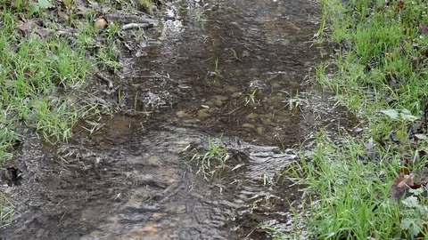 Small stream Stock Footage 122772536
