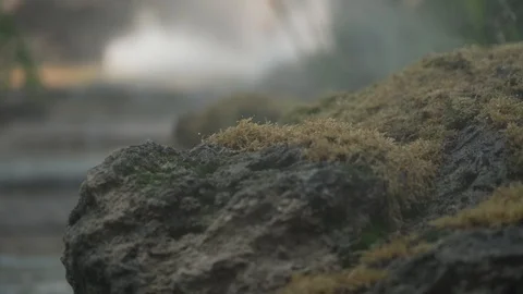 The Small  Stream Видео 127441606