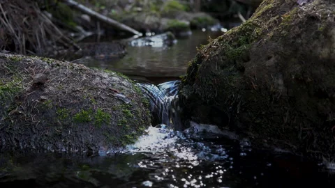 Small stream Видео 130872333