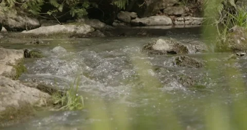 Small stream Stock Footage 142184495