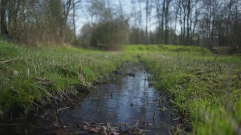 Small stream Stock Footage 150266234