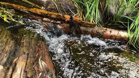 Small stream Vídeo Stock 204767298