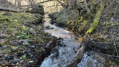 A small stream in the forest 2 Video stock 332677396