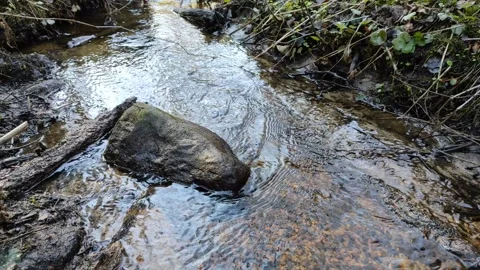 A small stream in the forest 5 Stock Footage 332679108